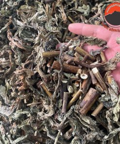 Lá, cây bồ công anh rừng Tây Bắc sấy khô loại 1 giúp lợi sữa, thanh nhiệt giải độc, tiêu u