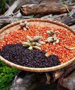 Gia vị hạt dổi mắc khén, hạt dổi mắc khén rang xay nguyên chất từ hạt mắc khén rừng, hạt dổi nếp cổ thụ Tây Bắc