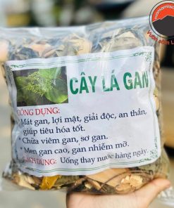Cây lá mát gan rừng Tây Bắc giúp giải độc gan, giải rượu, hỗ trợ thanh nhiệt mát gan, tăng cường chức năng gan