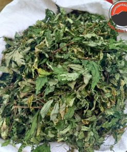 Lá đắng rừng khô Tây Bắc (lá cơm kìa) chữa đau dạ dày. Lá rau đắng nấu canh dân tộc vùng cao Tây Bắc