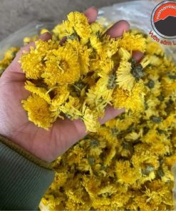 Hoa cúc vàng sấy khô pha trà loại 1 (500g, 1kg), Hoa cúc sấy lạnh nguyên bông giải độc gan, ngăn ngừa ung thư