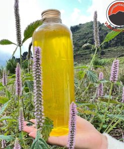 Mật ong rừng hoa bạc hà nguyên chất 100% (1 lít) cao nguyên đá Đồng Văn - Hà Giang. Đặc sản mật ong rừng Tây Bắc