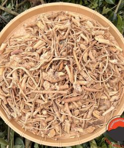 Dược liệu rễ hoàng kỳ nam, vú bò khô rừng tự nhiên Tây Bắc từ rễ cây hoàng kỳ nam tươi giúp kiện tỳ bổ phế