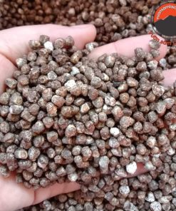 Hạt chuối hột rừng Tây Bắc sấy khô ngâm rượu (1kg) loại 1 nguyên hạt từ chuối hột rừng tươi chín trị sỏi thận, sỏi niệu quản