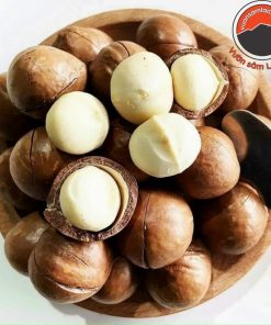 Hạt macca hữu cơ Lai Châu nguyên hạt loại 1 (500g, 1kg) làm sữa, sấy khô từ hạt quả macca, mắc ca, mac ca tươi