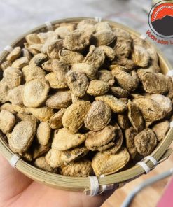 Hạt sang, hạt sành trắng rừng Tây Bắc (hạt chọn) chữa đau dạ dày đại tràng. Giá cửa rừng hạt sang già lõi trắng